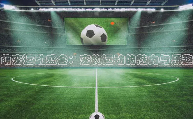 k1体育官网登录入口网址