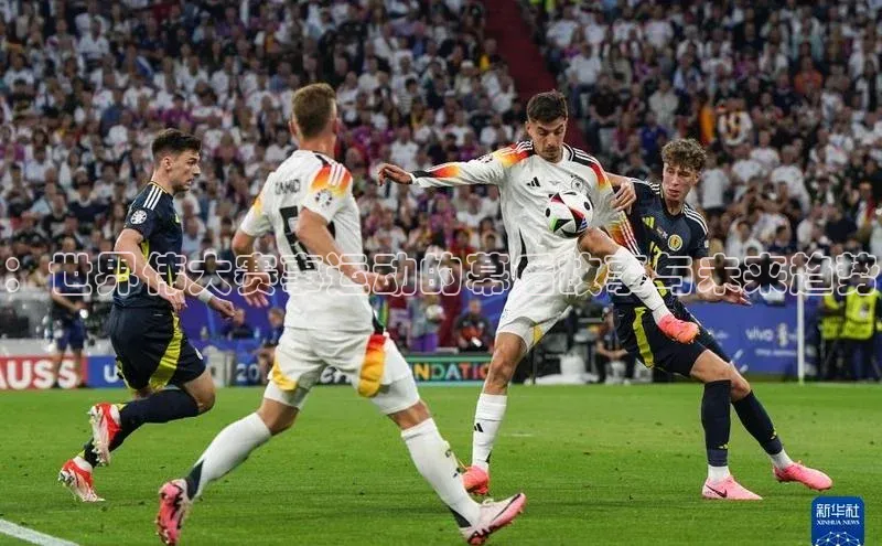 k1体育在线网站