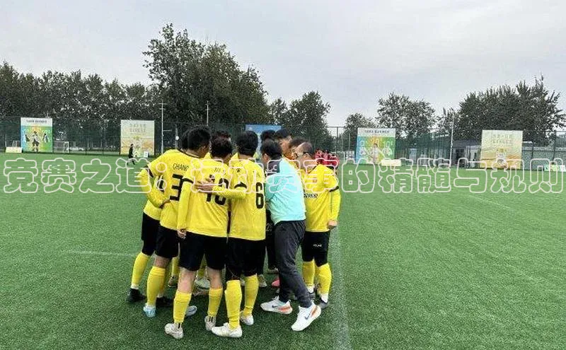 k1体育娱乐平台下载官网