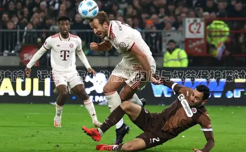 k1体育-十年品牌