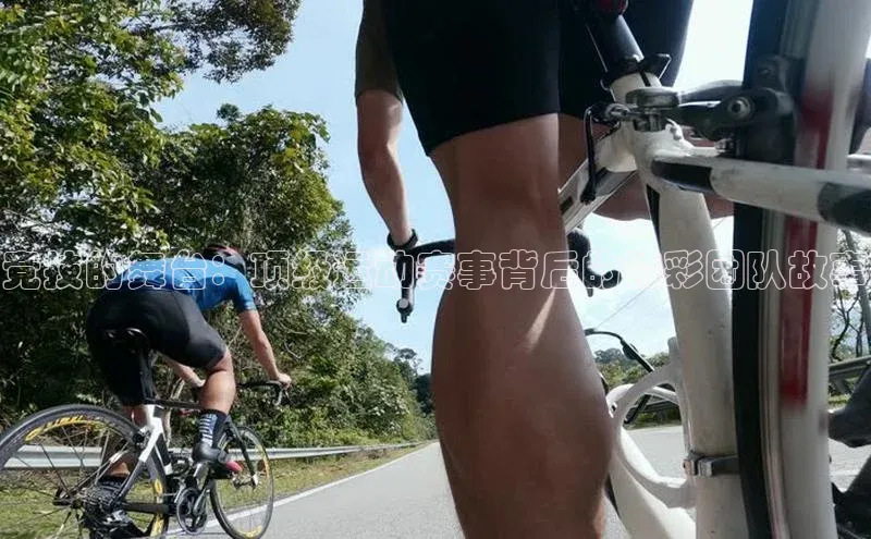 竞技的舞台：顶级运动赛事背后的精彩团队故事