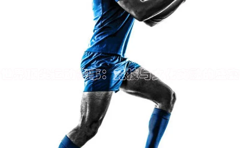 k1体育