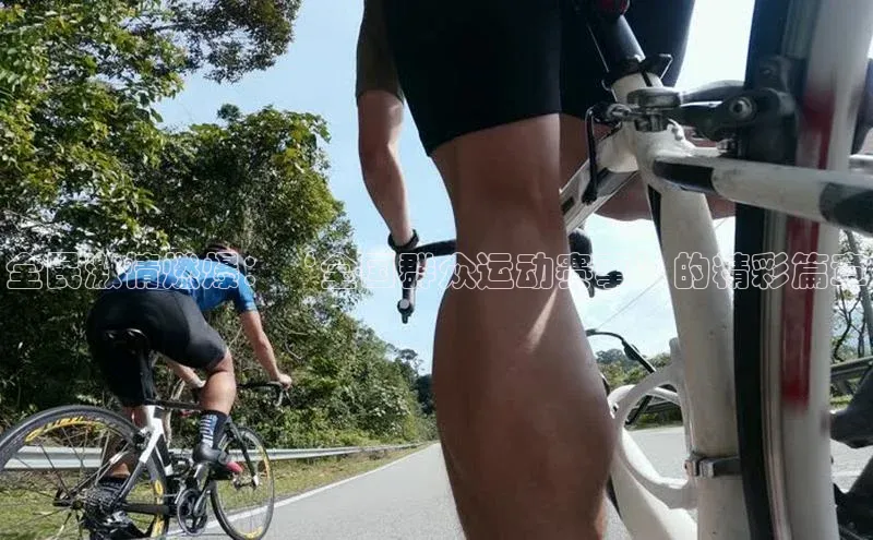 k1体育十年登录入口官方